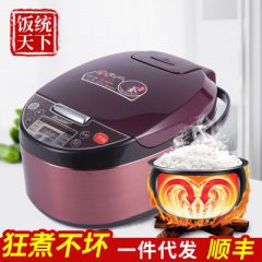 荣仕达智能电饭煲5L电饭锅家用